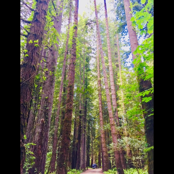 Meet your Posher, C - Picture 6 of 6